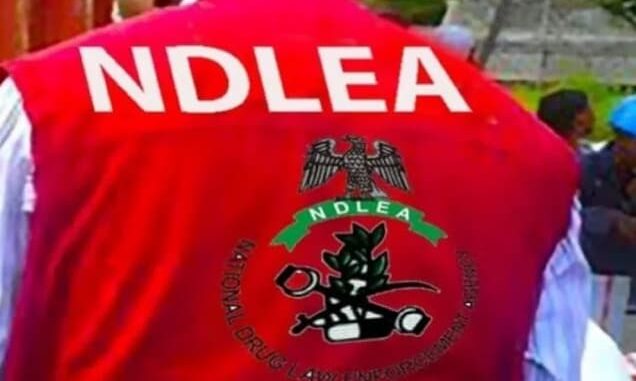 NDLEA Candidates Shortlist 2025/2026/https://recruitmentchamber.com.ng/