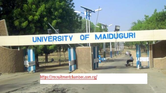 University of Maiduguri (UNIMAID) Recruitment 2025/2026 Portal/https://recruitmentchamber.com.ng/